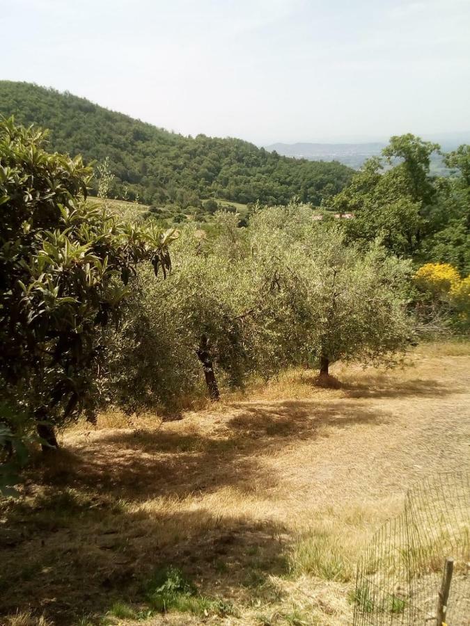 Casa Renacci Villa Subbiano Kültér fotó